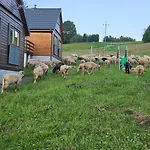 Casa vacanze Nad Cicha -domki Caloroczne W Gorach *