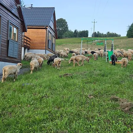 Prázdninový dům Nad Cicha -domki Caloroczne W Gorach *