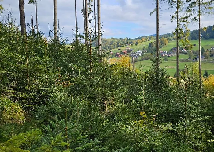 Prázdninový dům Nad Cicha -domki Caloroczne W Gorach Ujsoły
