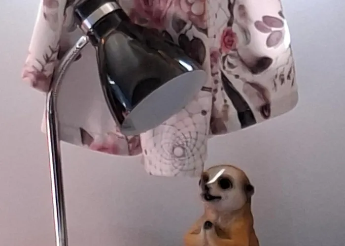 Nad Cicha -domki Caloroczne W Gorach *